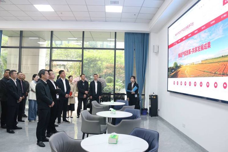洞察股权交易的技巧与策略